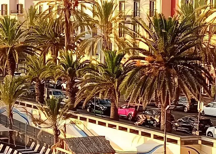 Host Albina 丰沙尔