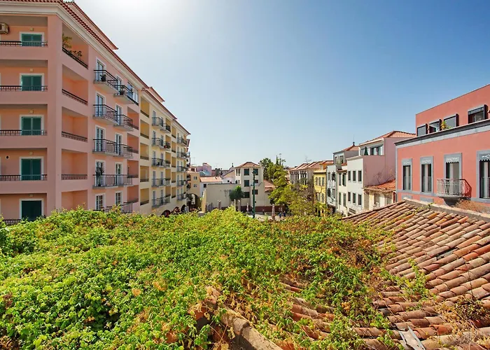 Host Albina 丰沙尔